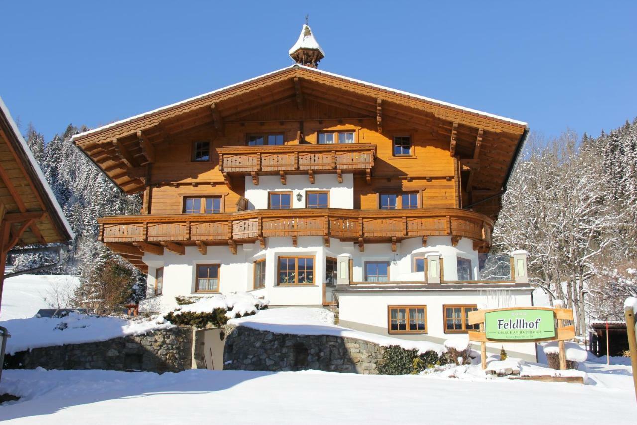 Feldlhof Villa Шладминг Екстериор снимка
